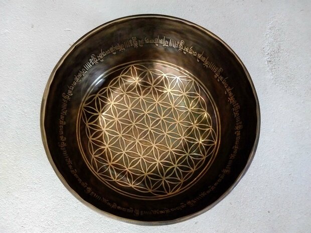  Flower of life singing bowl   23-24 cm